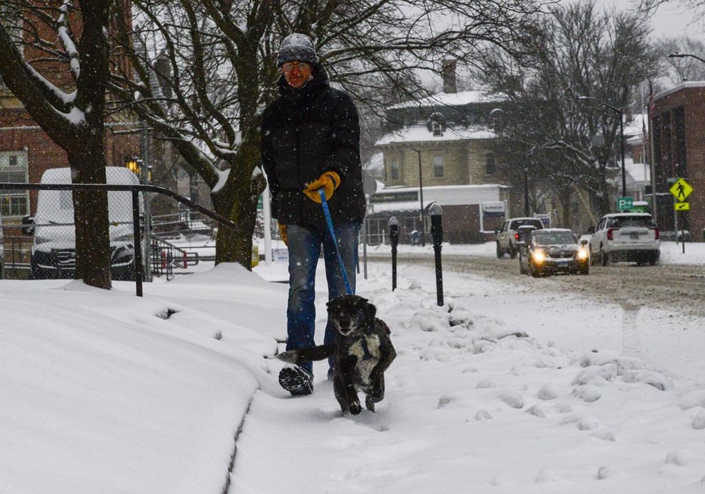 A man walks his dog down Main Street in Brattleboro, Vt., on Saturday, March 23, 2024. New England is battling a mix of wind, rain, sleet and heavy snow across the region Saturday with more than a foot of snow expected in ski county, but mostly rain, wind and possible flooding in southern areas and along the coast. (Kristopher Radder /The Brattleboro Reformer via AP)