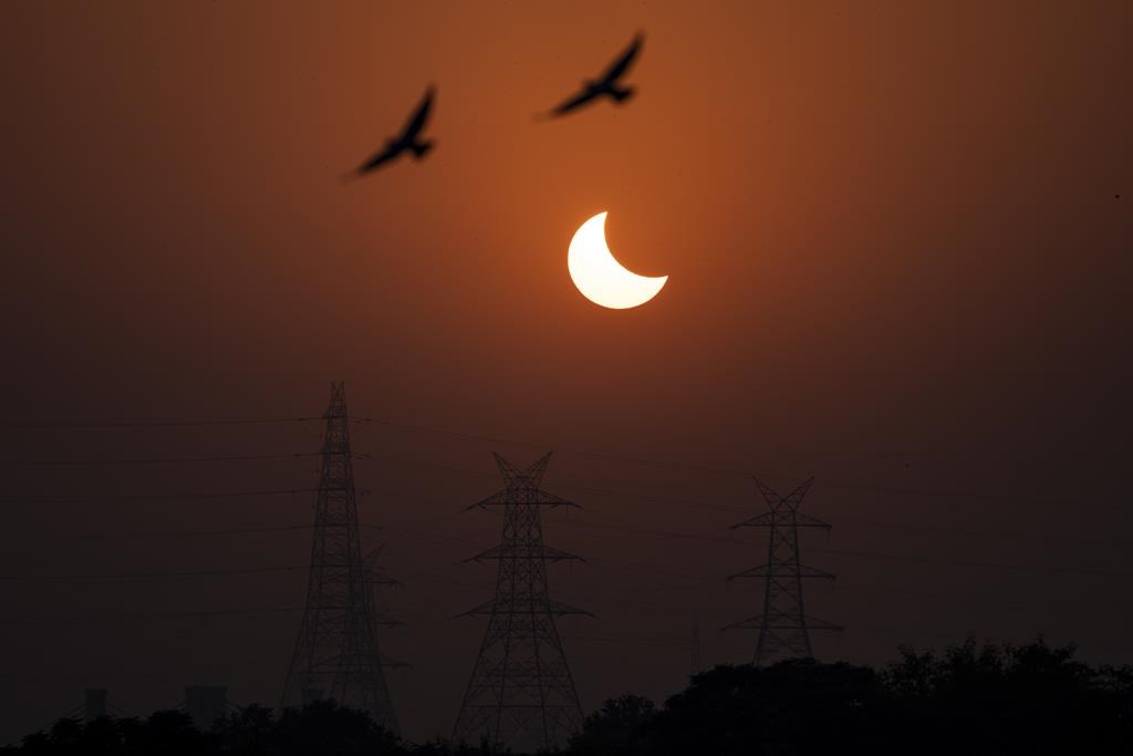 Alors que l'éclipse solaire de lundi devrait attirer des milliers de personnes vers les régions situées le long du chemin de totalité de l'Est du Canada, les principaux fournisseurs de téléphonie mobile et d'Internet se disent prêts à gérer une perturbation du trafic sans fil dans ces régions. Des aigles survolent une éclipse solaire partielle à New Delhi, en Inde, le mardi 25 octobre 2022.