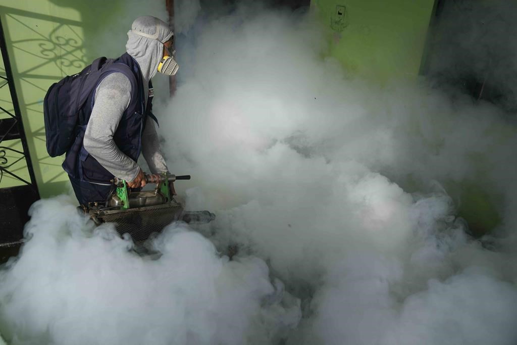 Un agent de santé fumige les moustiques à l'intérieur d'une maison pour aider à atténuer la propagation de la dengue dans la région de Las Penitas à Talara, au Pérou, le vendredi 1er mars 2024.