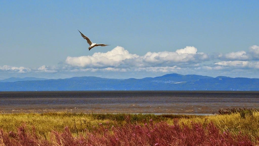 Le gouvernement souhaite «connaître les priorités locales, régionales et autochtones en matière de conservation des milieux naturels».