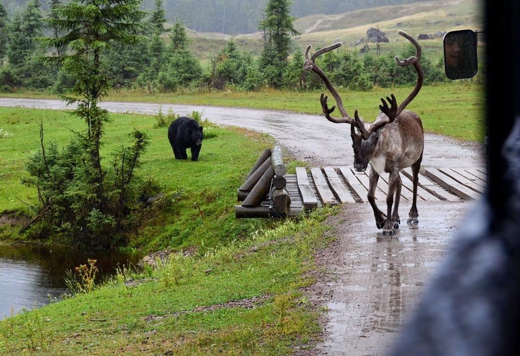 Cal Woodward / The Associated Press