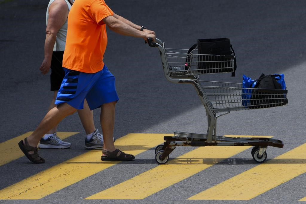 Statistics Canada will release its May gross domestic product report this morning. A shopper pushes a shopping carts as they leave a Real Canadian Superstore in Ottawa on Tuesday, June 25, 2024. THE CANADIAN PRESS/Sean Kilpatrick