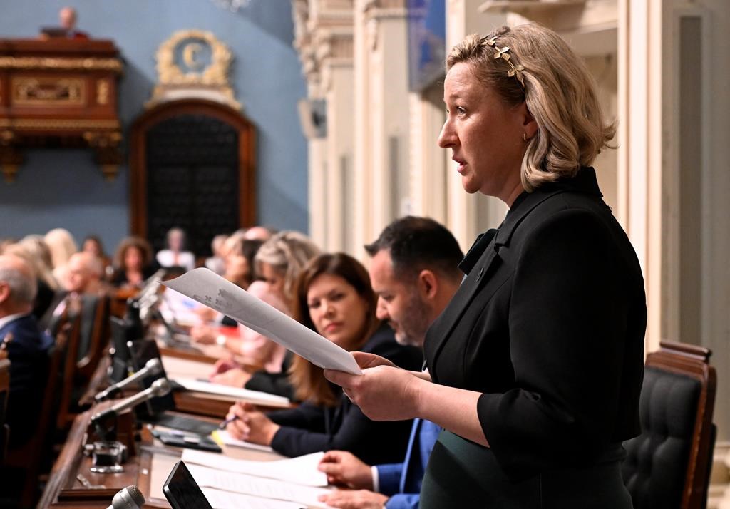 La ministre québécoise des Ressources naturelles et de la Forêt, Maïte Blanchette Vézina, dépose un projet de loi sur l'exploitation minière le 28 mai à l'Assemblée législative de Québec.Cette semaine, le Québec a annoncé qu'il ne financerait pas un projet minier visant à produire du graphite - l'un des minéraux les plus recherchés au monde.